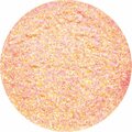 Rainbow Glitter Dust 2 gr Rainbow Orange N3094