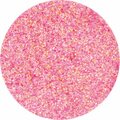 Rainbow Glitter Dust 2 gr Rainbow Salmon N3095