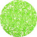 Glitter 15 ml Leaf Green N2020