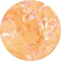 Glitter Flakes Pastel Peach 1953 GF