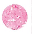 Glitter Flakes Pink 1957GF