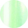 Prisma Colourgel 5 gr OUTLET Green Effect 4967