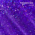 Glitter Collection 2024 15 ml Frozen Iris 5669