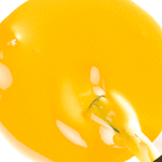 Rainforest Collection 15ml Yellow Parrot 5451