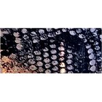 Animal Collection (2,5 x 100 cm) 02. Snake 3230