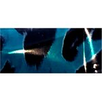 Animal Collection (2,5 x 100 cm) 08. Gepard Turquoise 3236