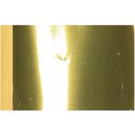 Foliot 17. Plain Gold 2414