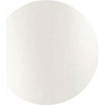 Pigments 6 gr Pigment White 6 gr 2901