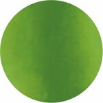 Pigments 6 gr Pigment Pistachio 6 gr 2924