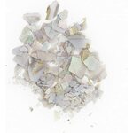 Shellflakes Grey 2181