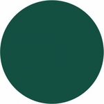 Aquarelle Turner Design Gouache 25 ml Ivy Green DG025151C