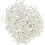 Metallic Studs Silver 2830