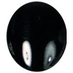 Opaque Collection Black - Opaque Collection 15ml 1083
