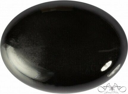 Opaque Collection Black 1083XS