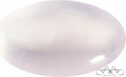 Speed akrylpulver10gr Perfect Pink 1006SB