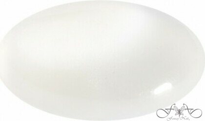 Addiction akrylpulver 10gr Natural + 5109SB