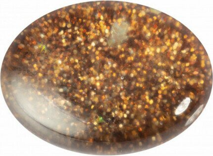 Royal Collection Brown 4856XS