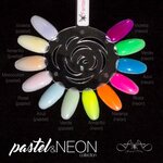 Pastel & Neon Collection 4774