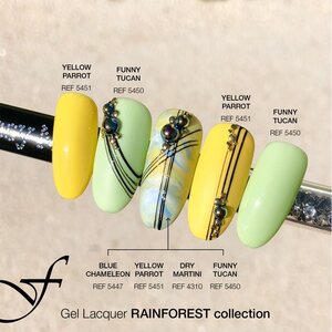 Rainforest Collection 15ml