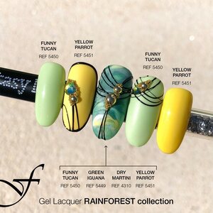 Rainforest Collection 15ml