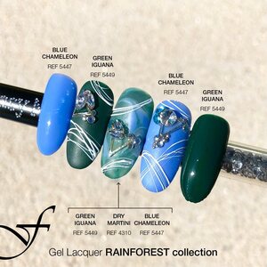 Rainforest Collection 15ml