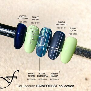 Rainforest Collection 15ml