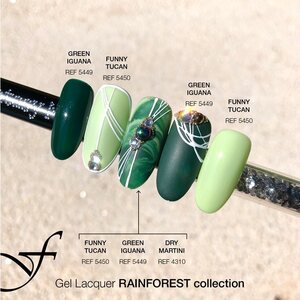 Rainforest Collection 15ml