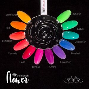 Flower Collection