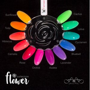 Flower Collection