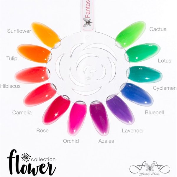 Flower Collection 15 ml